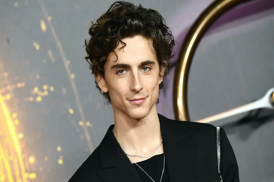 How Old Is Timothée Chalamet? Full Biography, Age, Career, and Complete Details How Old Is Timothée Chalamet